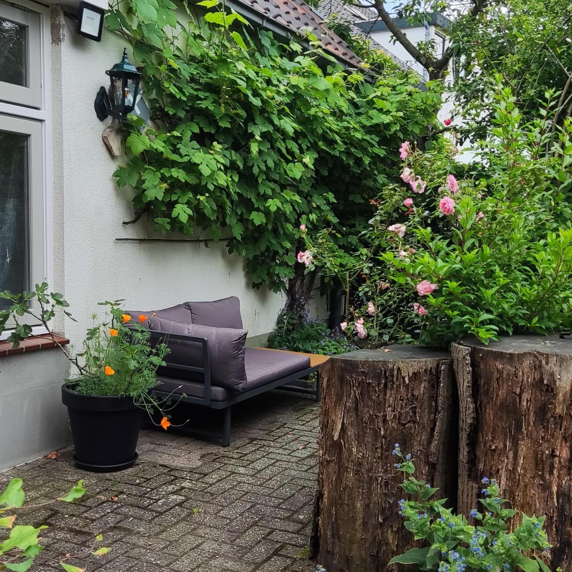 Bed and Breakfast Logies Op Dreef Driebergen Exterior foto